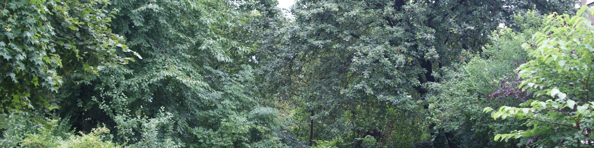 Compton Terrace Gardens, London N1.