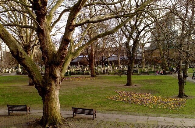 Bunhill Fields The beautiful view from my apartment on Featherstone Street. Ever changing and always beautiful and I believe I see it from the best angle. William Blake's grave is the furthest on the left, very small and alone (except for the flowers from his fans). The snowdrops (flowers) appear every year at the end of January just before the daffodils.