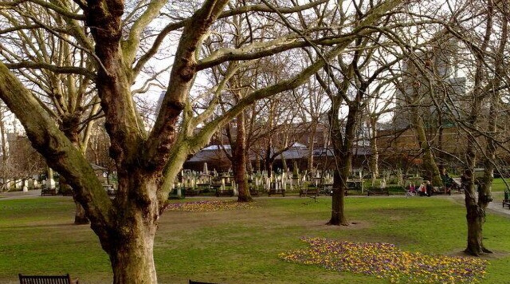 Bunhill Fields The beautiful view from my apartment on Featherstone Street. Ever changing and always beautiful and I believe I see it from the best angle. William Blake's grave is the furthest on the left, very small and alone (except for the flowers from his fans). The snowdrops (flowers) appear every year at the end of January just before the daffodils.
