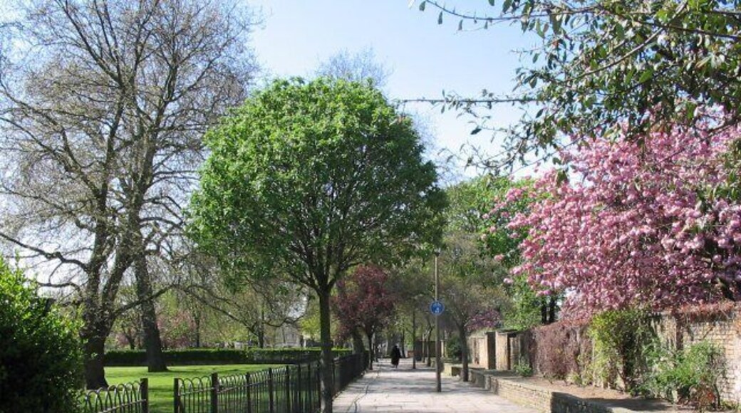 Area behind Sutton House.