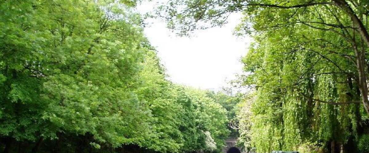 Regent's Canal. A tranquil spot in the heart of London.