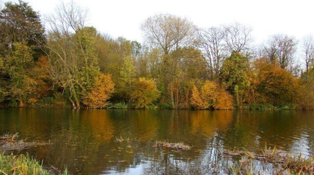 The Thames at Kennington