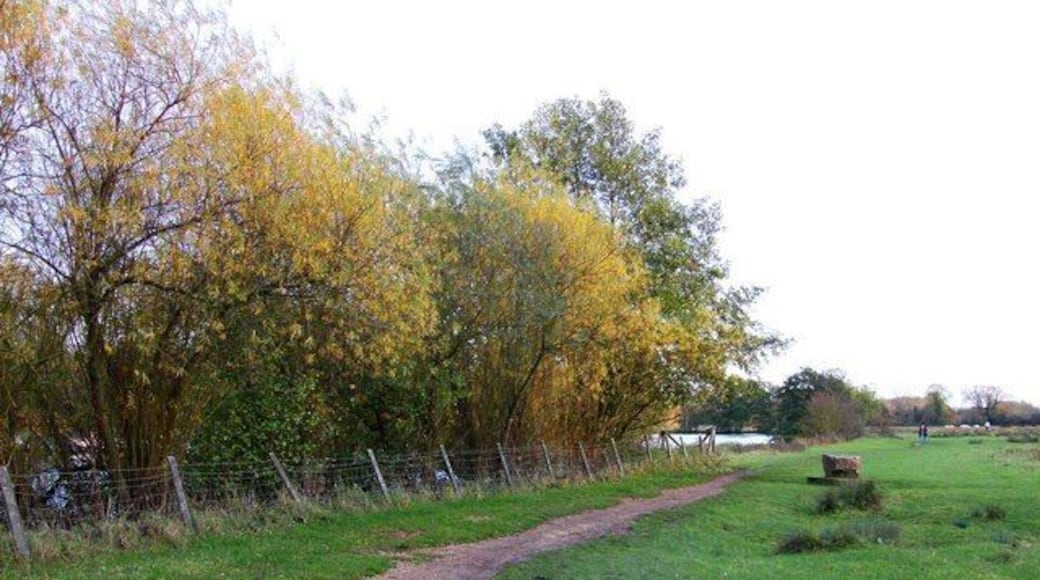 The Thames Path at Kennington