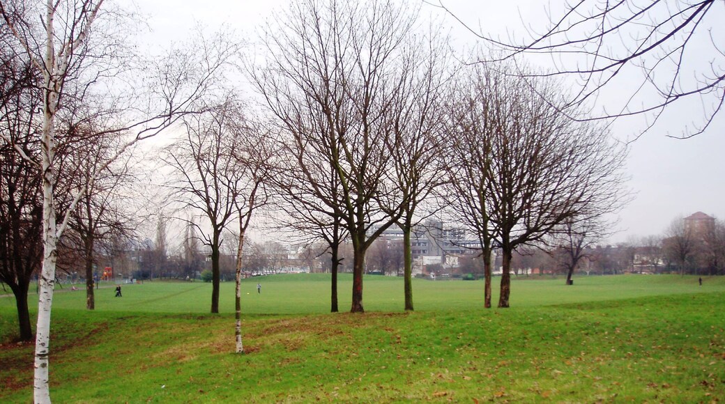 Not far from Stockwell, just off Wandsworth Road. Photo taken December 2007. Owner: London Borough of Lambeth.