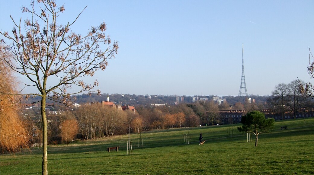 A pretty park with views towards Crystal Palace. Photo taken December 2008. Owner: London Borough of Lambeth.