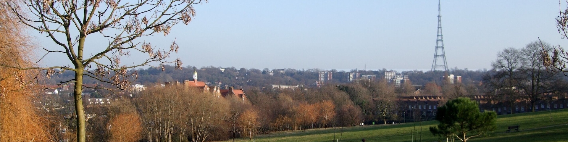 A pretty park with views towards Crystal Palace. Photo taken December 2008. Owner: London Borough of Lambeth.
