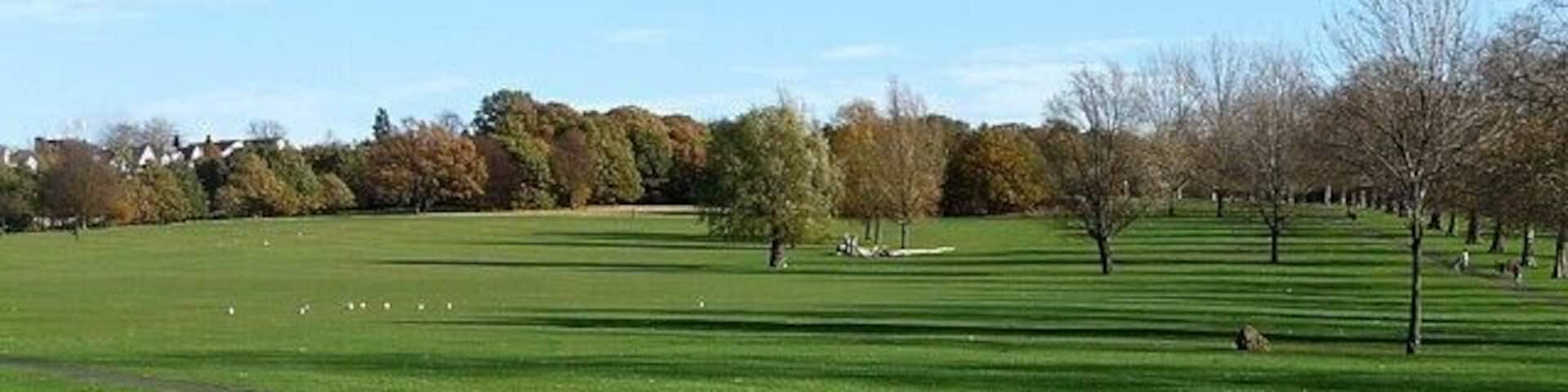 Streatham Common (2) Looking north-east from the south-west corner of the common.