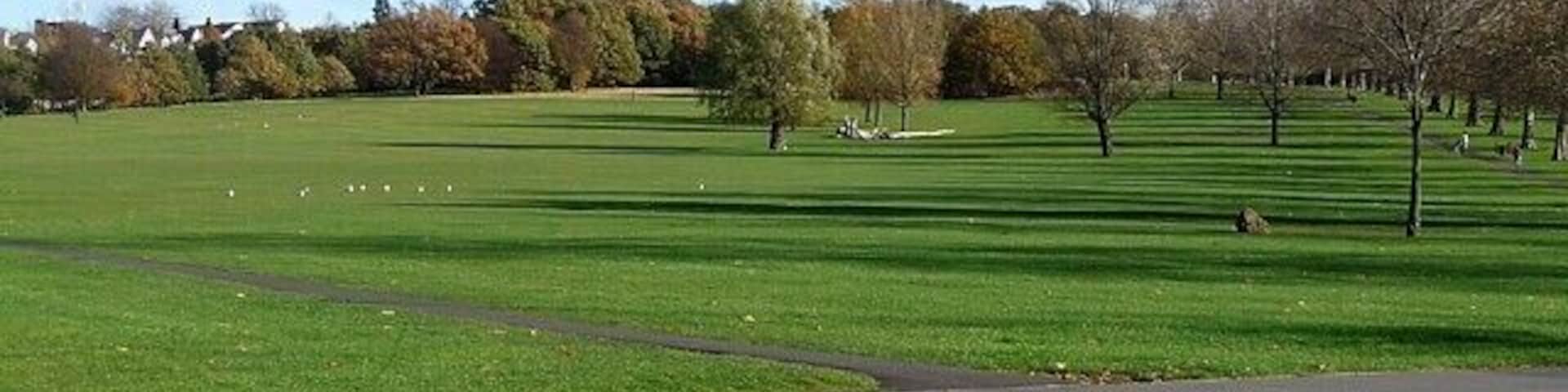 Streatham Common (2) Looking north-east from the south-west corner of the common.