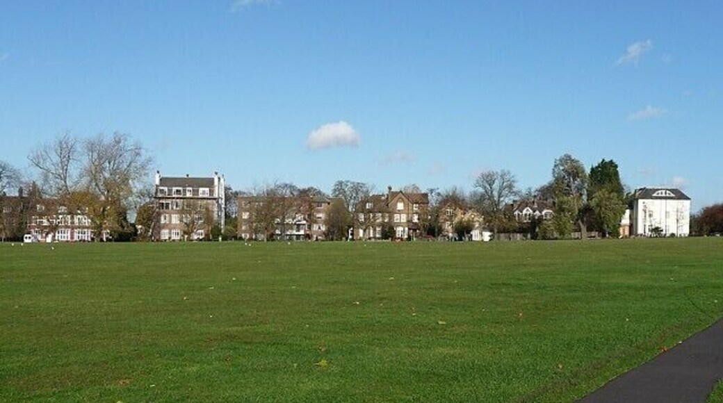 Houses, Streatham Common North The road along the common was once lined with large, detached C18th and C19th houses. (One survives, Park Hill, further up the road.)
