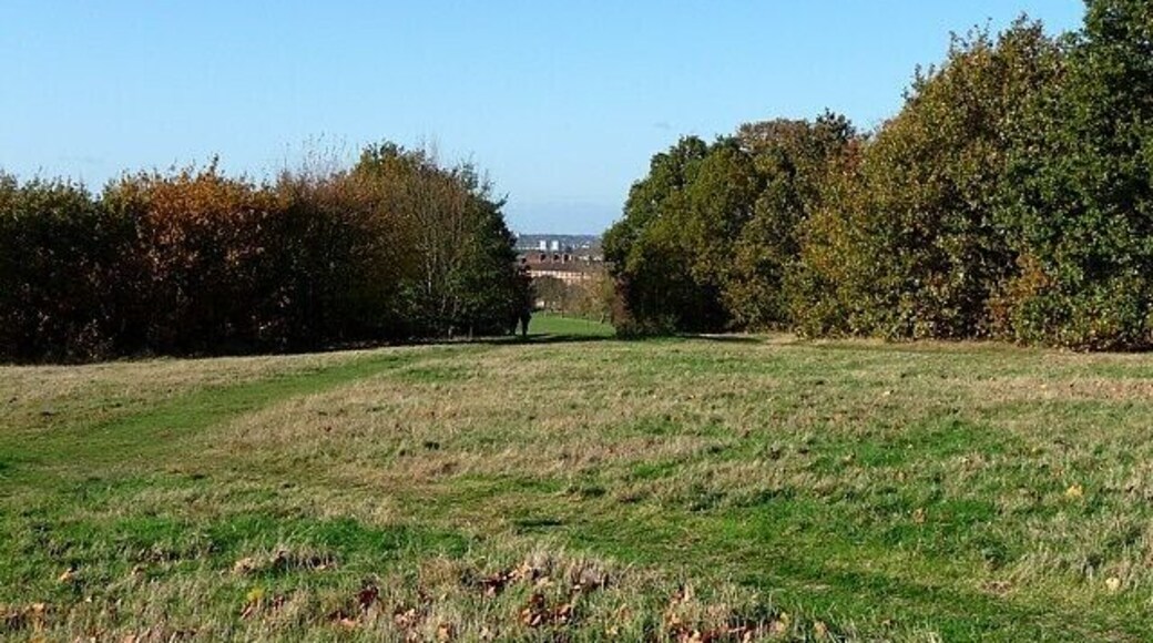 Streatham Common (6) Looking west from near the top of the common.