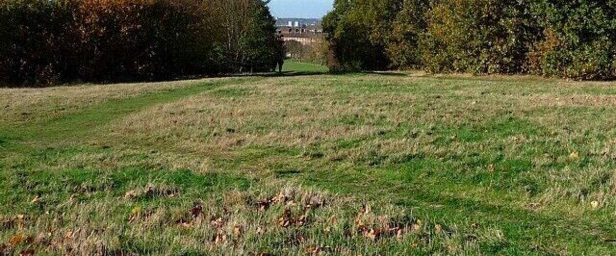 Streatham Common (6) Looking west from near the top of the common.