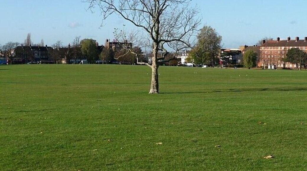 Streatham Common (4) A lone tree in the middle of the common. The buildings to the left of it are on Streatham High Road, and the red brick flats to the right are on the corner of the High Road and Streatham Common North.