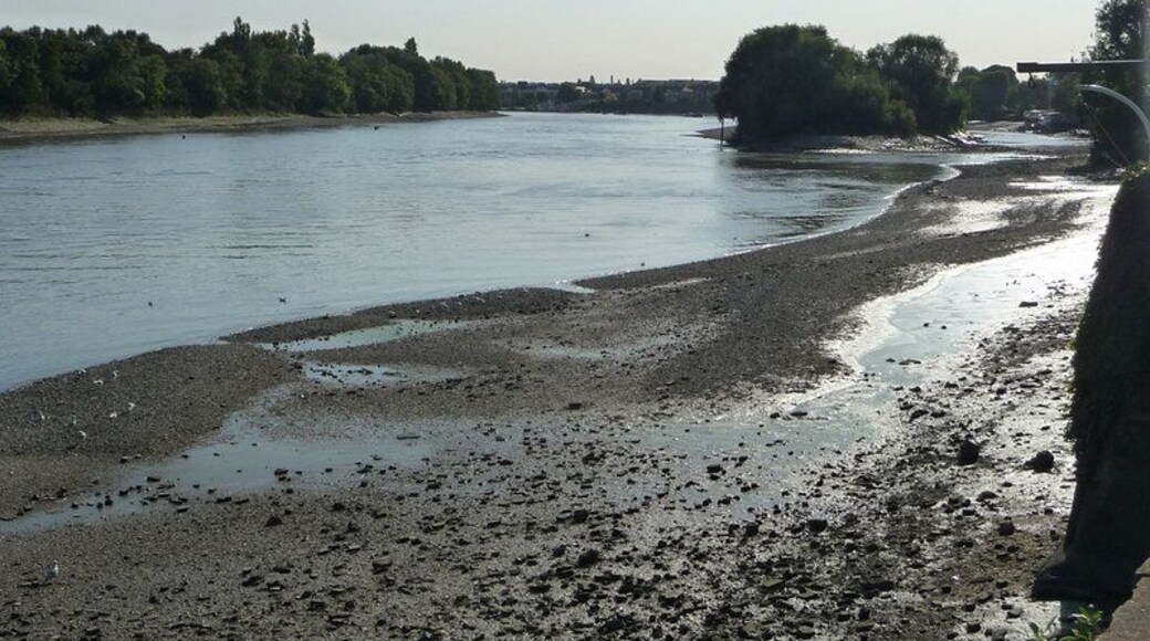 River Thames looking upstream Chiswick Eyot visible to the right