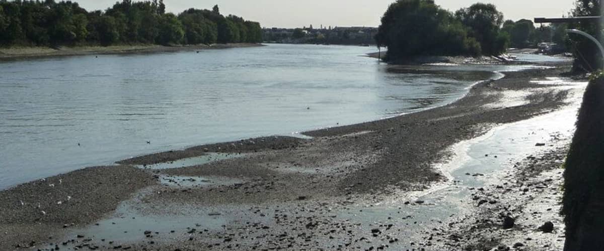 River Thames looking upstream Chiswick Eyot visible to the right