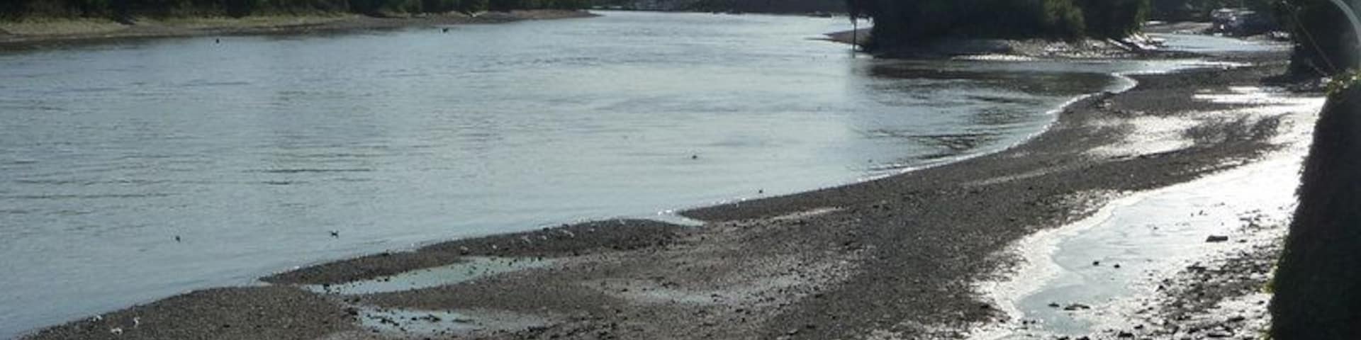 River Thames looking upstream Chiswick Eyot visible to the right