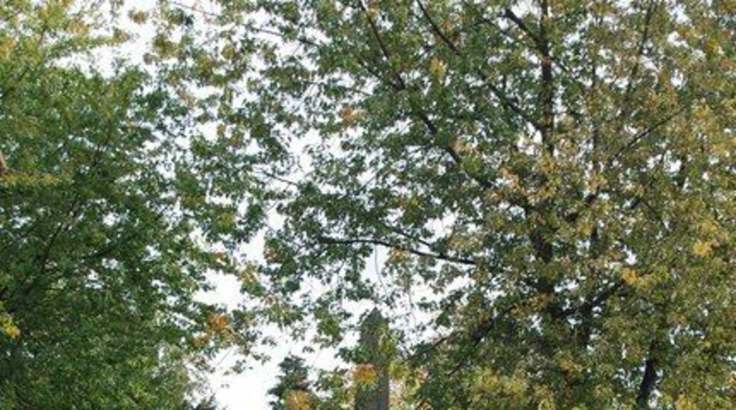 Obelisk, Bounds Green Rd