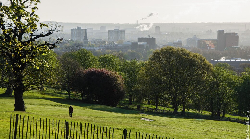 London from Alexandra Park in the early morning (2012)