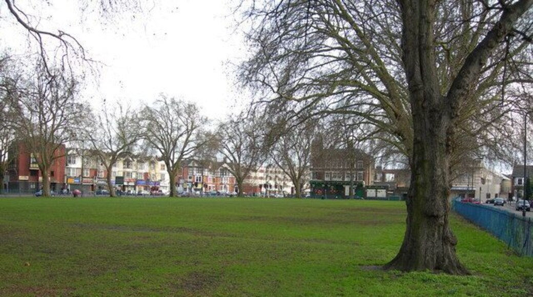 Ducketts Common (1) Picture taken from near the Willoughby Road Gate, looking towards Green Lanes and the Queens Head pub.