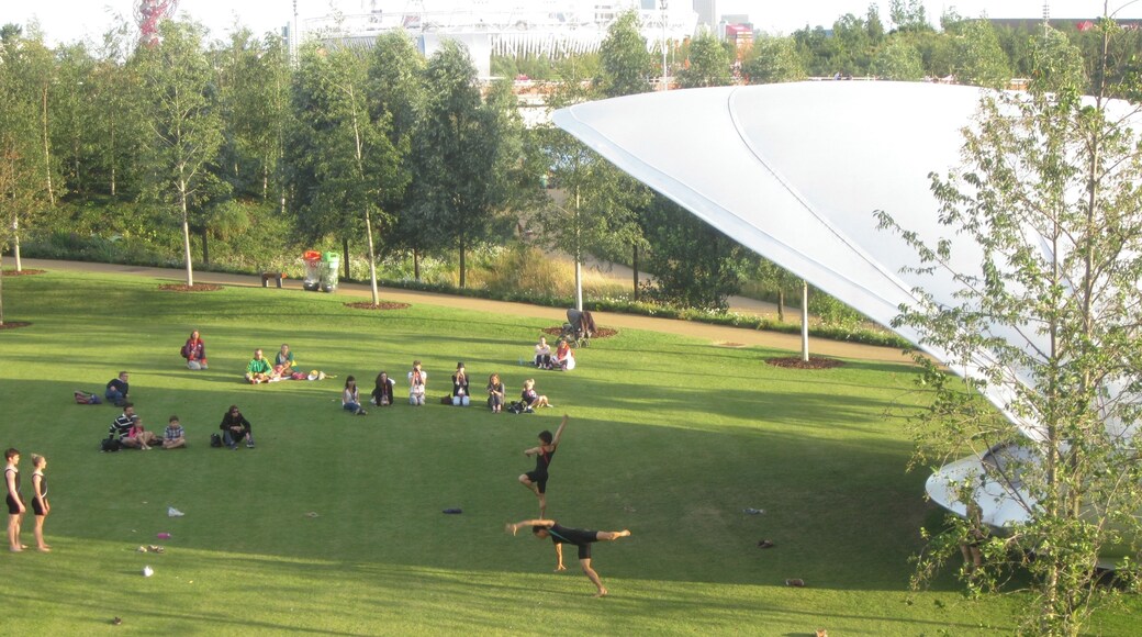 Prancing in the field 2012 Summer Olympics