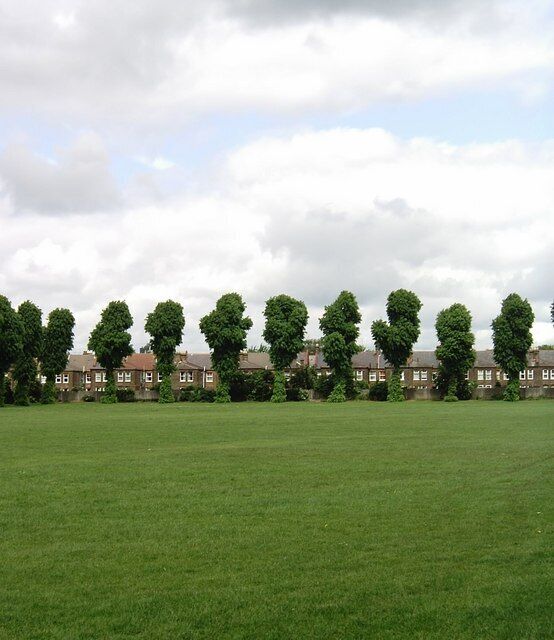 Lloyd Park, Walthamstow. For all that it's situated in a densely populated part of North-east London, much of Lloyd Park is open grassland. The houses in the background are in Brettenham Road.