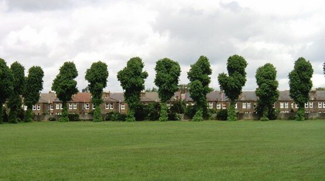 Lloyd Park, Walthamstow. For all that it's situated in a densely populated part of North-east London, much of Lloyd Park is open grassland. The houses in the background are in Brettenham Road.
