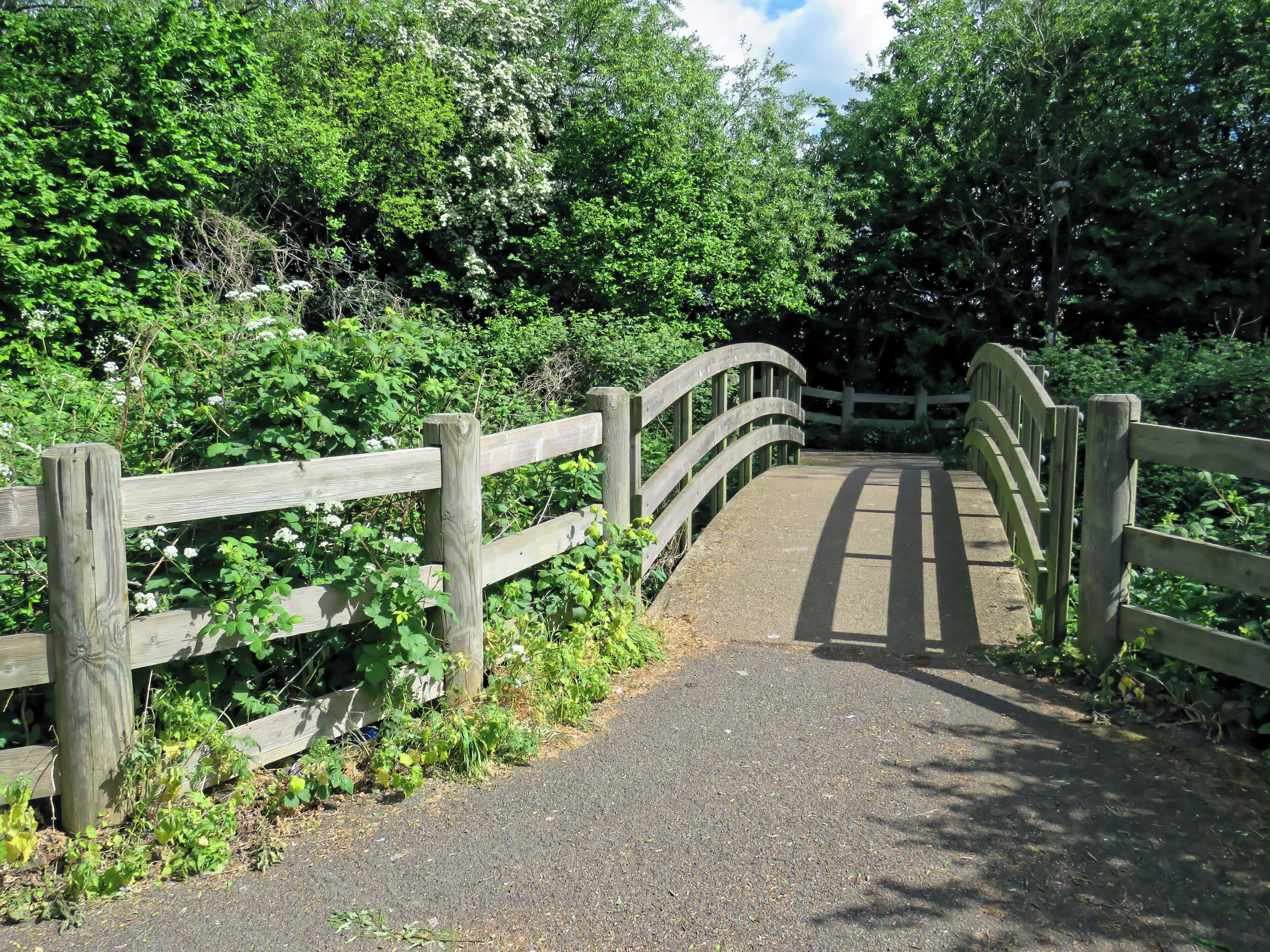 Looking east over the footpath bridge across the River Ching, off the A112 Chingford Road, east from Sainsbury's Low Hall supermarket, and just north from the Crooked Billet Interchange of the A406 North Circular Road, in the London Borough of Waltham Forest, England. Camera: Canon PowerShot SX60 HS Software: File lens-corrected, optimized, perhaps cropped, with DxO OpticsPro 11 Elite, and further optimized with Adobe Photoshop CS2.