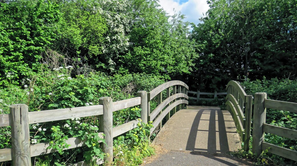 Looking east over the footpath bridge across the River Ching, off the A112 Chingford Road, east from Sainsbury's Low Hall supermarket, and just north from the Crooked Billet Interchange of the A406 North Circular Road, in the London Borough of Waltham Forest, England. Camera: Canon PowerShot SX60 HS Software: File lens-corrected, optimized, perhaps cropped, with DxO OpticsPro 11 Elite, and further optimized with Adobe Photoshop CS2.
