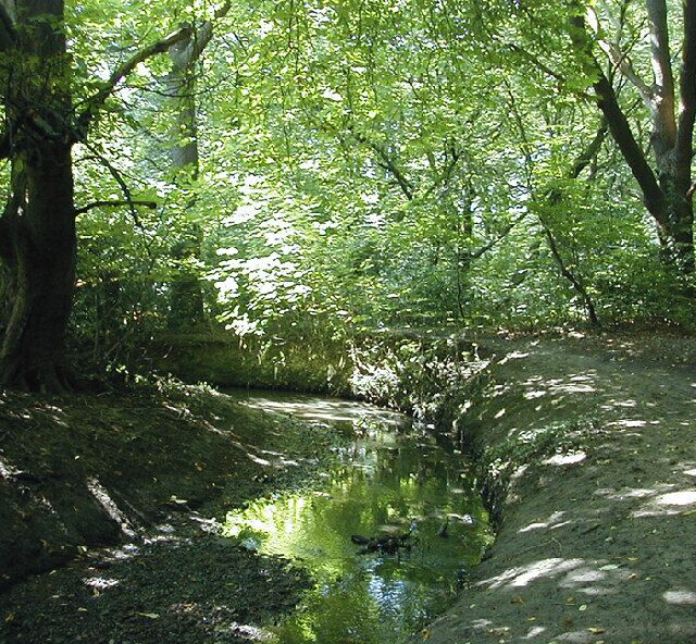 The River Ching. The geomorphological formation of the meanders and formation of the ox bow lakes are studied by geologists due to their constant changing