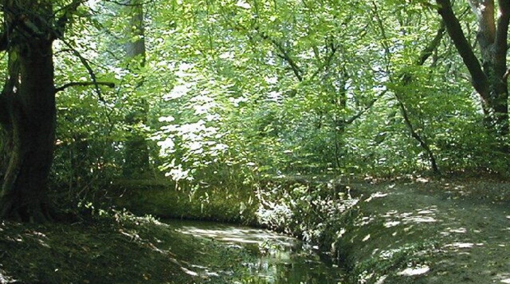 The River Ching. The geomorphological formation of the meanders and formation of the ox bow lakes are studied by geologists due to their constant changing