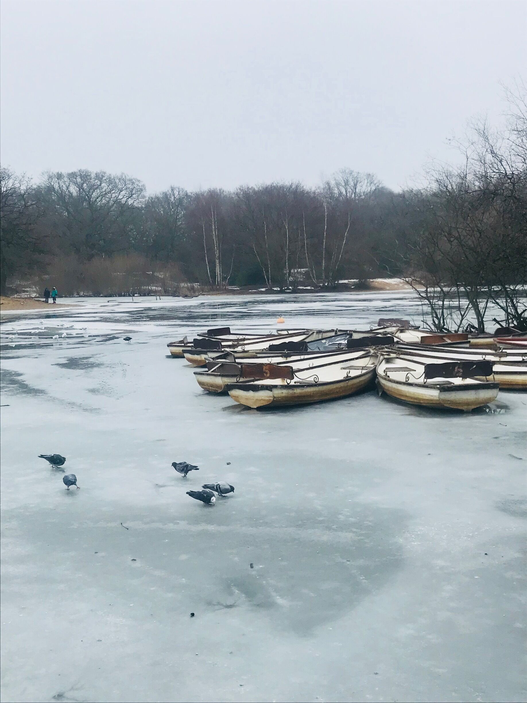 Beautiful lake all frozen on cold winter morning..
