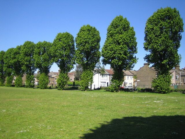 Walthamstow: St James Park Some fine rows of lime trees characterize this park off Essex Road, E17, in the London Borough of Waltham Forest.