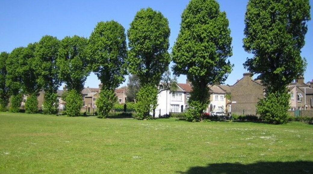 Walthamstow: St James Park Some fine rows of lime trees characterize this park off Essex Road, E17, in the London Borough of Waltham Forest.