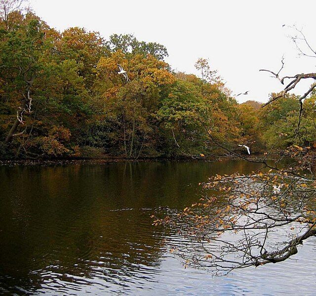 Highams Park Boating Lake