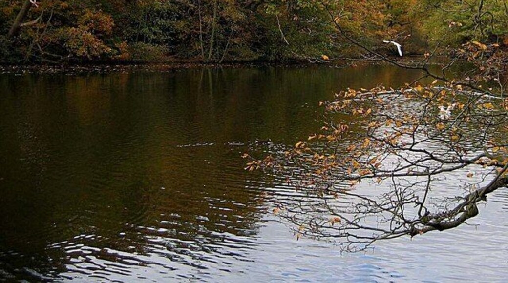 Highams Park Boating Lake