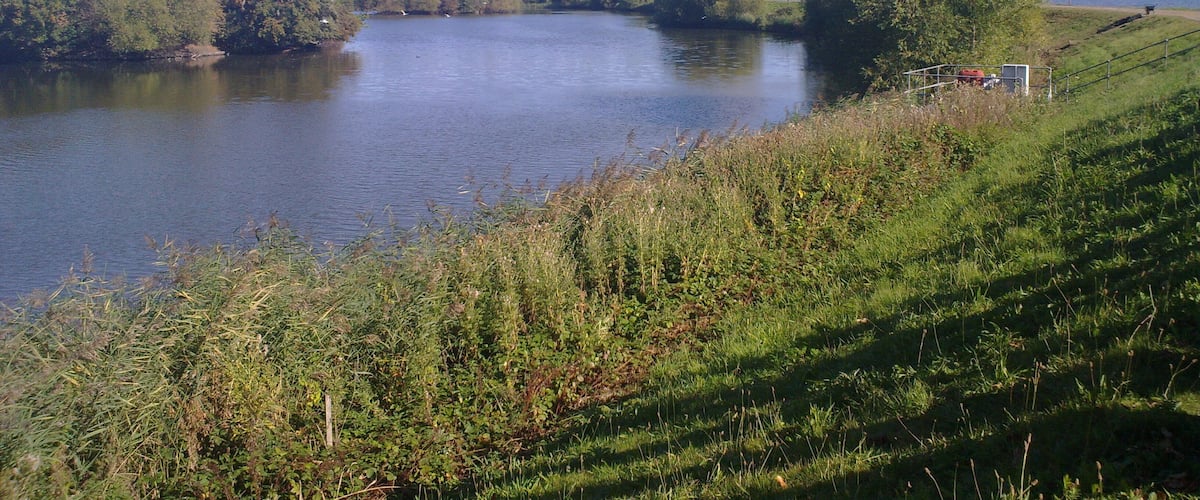 walthamstow reservoirs near to Tottenham, Haringey, Great Britain. Walthamstow Wetlands