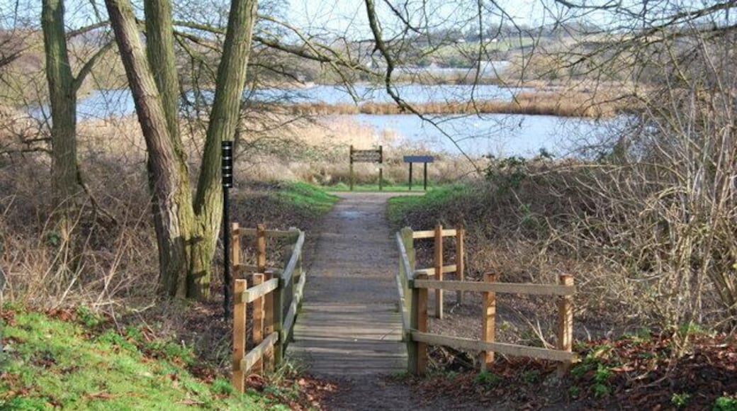 Lee Valley Park Walk way from Cheshunt Lock to Lee Valley Country Park, Holyfield Marsh.