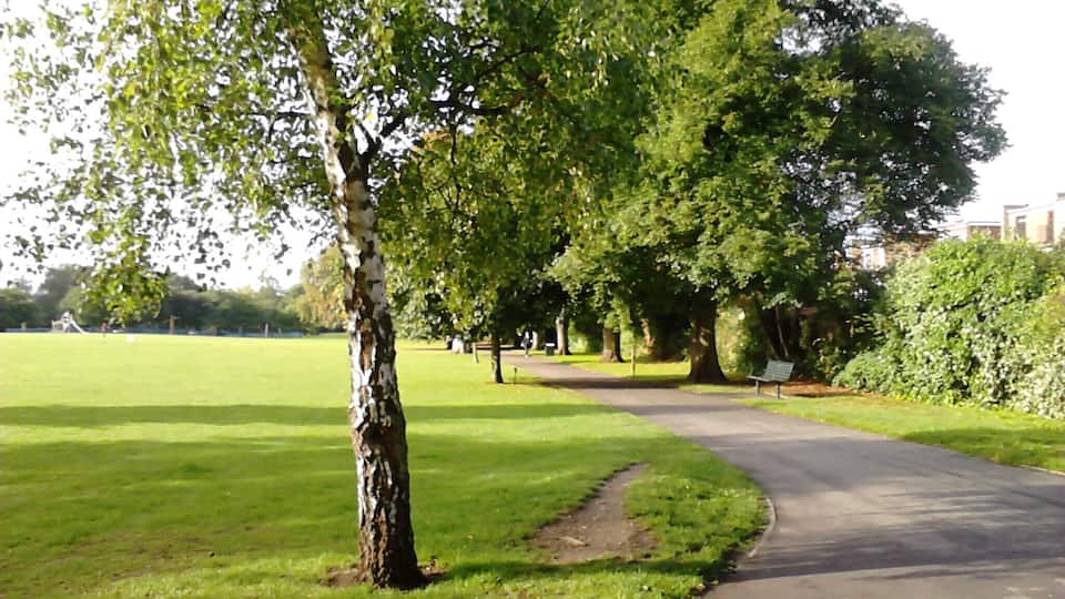 Ein Park mit einem gewundenen Weg, grünem Rasen und Bäumen.