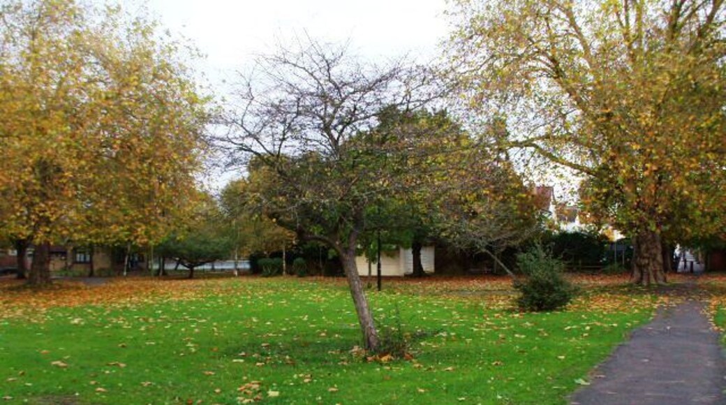 Pitshanger Park II, W13