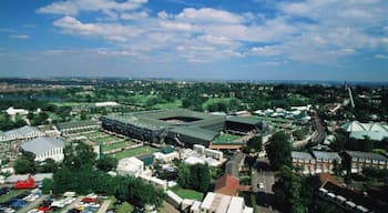 Wimbledon