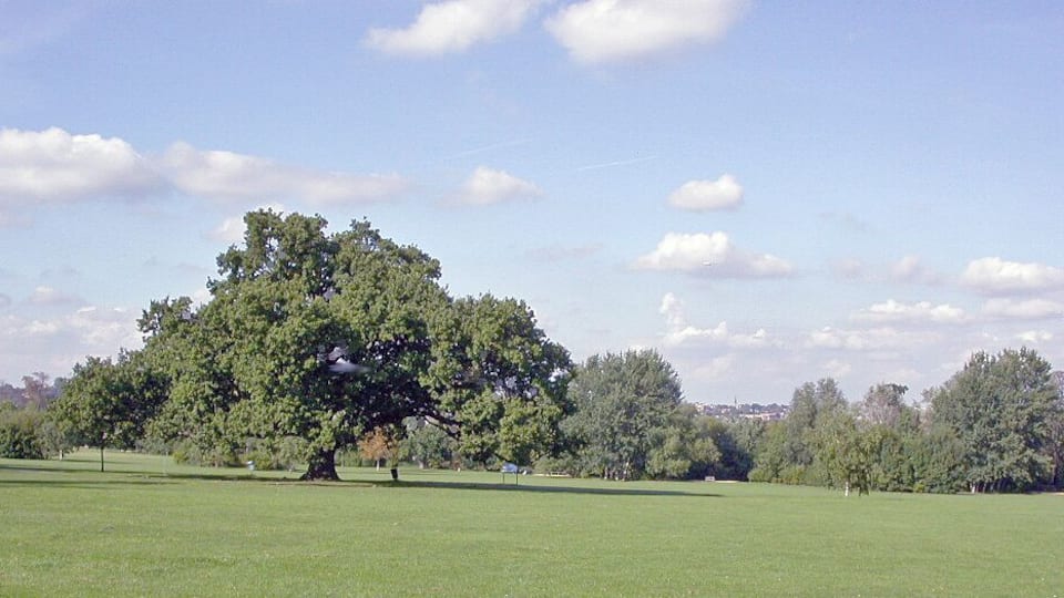 Across Cannon Hill Common to Wimbledon - late summer. View NE from near Cannon Hill Lane (and site of former Cannon Hill House, demolished in the 1930's). Wimbledon village is in the distance.