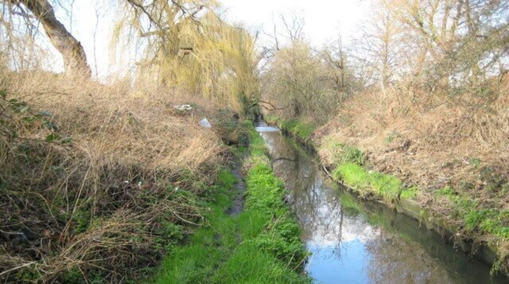 Pyl Brook in Morden Pyl Brook is a tributary of Beverley Brook that flows into the River Thames near Barnes.