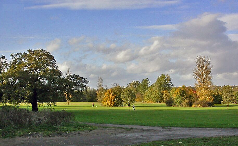 Wimbledon - Autumn on Cannon Hill Common. View NW across Cannon Hill Park from site of Cannon Hill House to Cottenham Park, Wimbledon in distance.