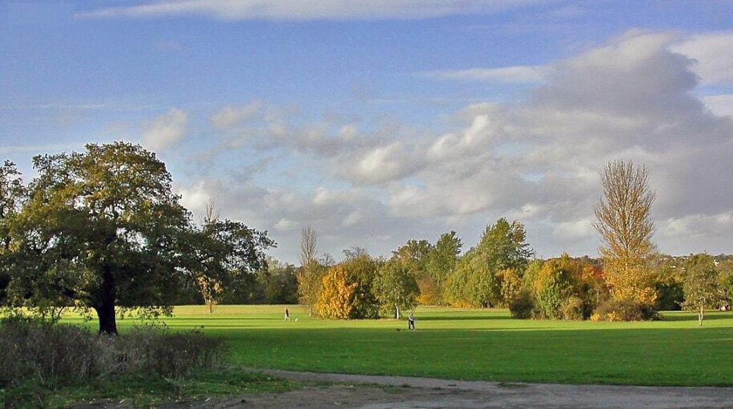 Wimbledon - Autumn on Cannon Hill Common. View NW across Cannon Hill Park from site of Cannon Hill House to Cottenham Park, Wimbledon in distance.