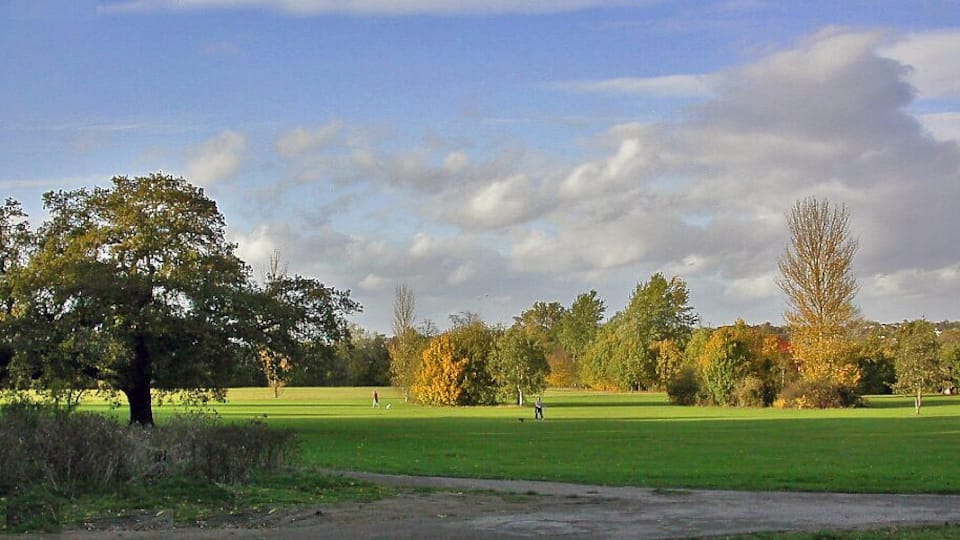Wimbledon - Autumn on Cannon Hill Common. View NW across Cannon Hill Park from site of Cannon Hill House to Cottenham Park, Wimbledon in distance.