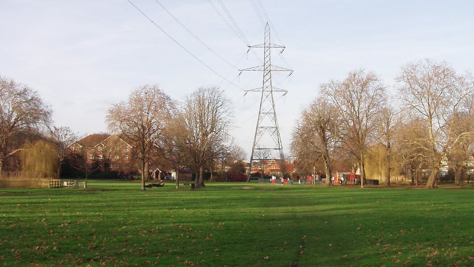 A park with a grassy field, leaf-covered ground, leafless trees, and a tall electricity pylon.