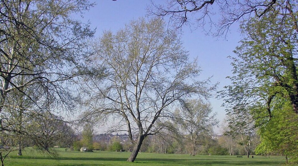 Spring on Cannon Hill Common. View northward to Wimbledon, from Cannon Hill Lane.