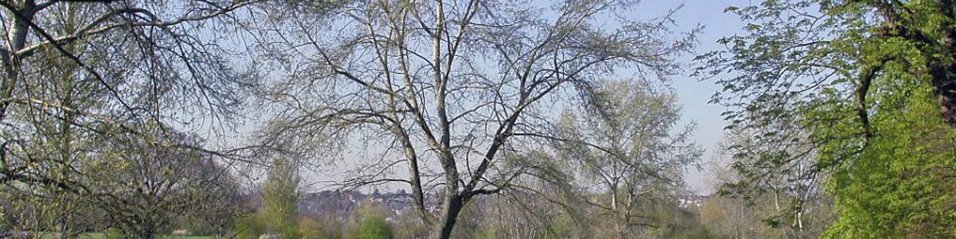 Spring on Cannon Hill Common. View northward to Wimbledon, from Cannon Hill Lane.