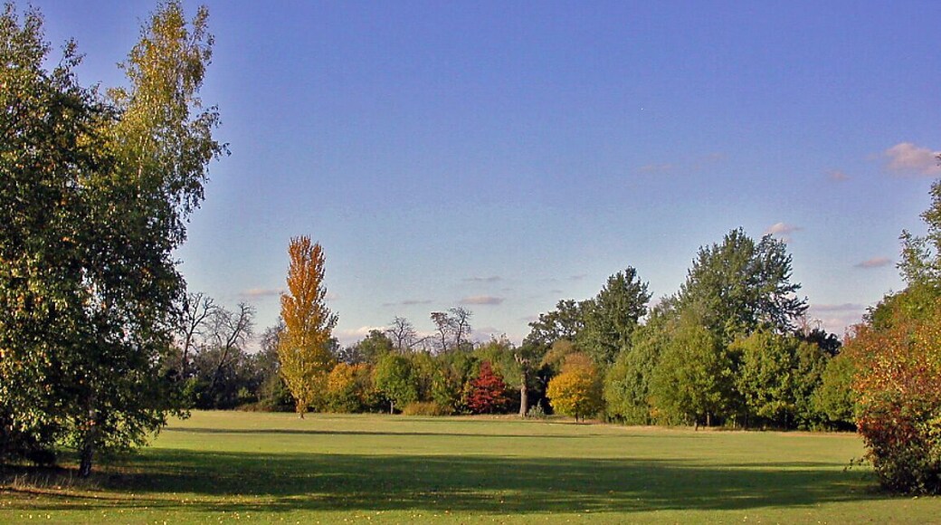 Autumn on Cannon Hill Common. View NW from near Cannon Hill Lane.