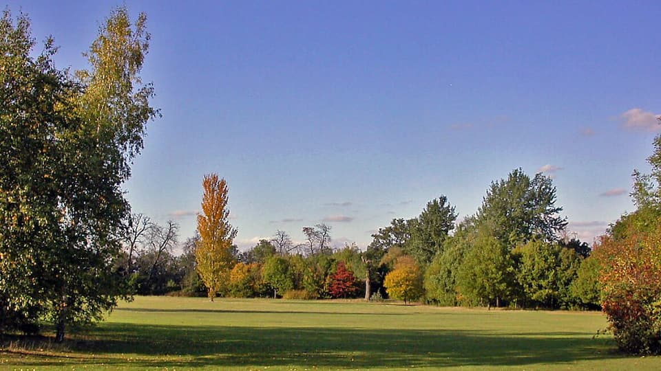 Autumn on Cannon Hill Common. View NW from near Cannon Hill Lane.