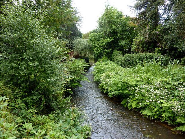 Mill Brook, Chobham Seen from the A319 bridge on the High Street.